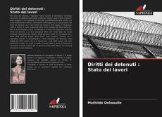 Bookcover of Diritti dei detenuti : Stato dei lavori