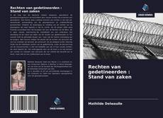 Buchcover von Rechten van gedetineerden : Stand van zaken
