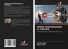 Bookcover of FRODE ASSICURAZIONI in TURCHIA