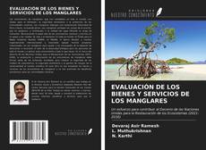 EVALUACIÓN DE LOS BIENES Y SERVICIOS DE LOS MANGLARES kitap kapağı