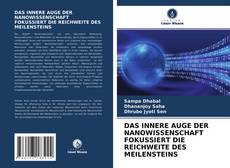 Buchcover von DAS INNERE AUGE DER NANOWISSENSCHAFT FOKUSSIERT DIE REICHWEITE DES MEILENSTEINS