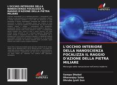 L'OCCHIO INTERIORE DELLA NANOSCIENZA FOCALIZZA IL RAGGIO D'AZIONE DELLA PIETRA MILIARE的封面