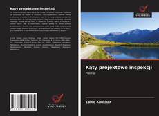 Bookcover of Kąty projektowe inspekcji