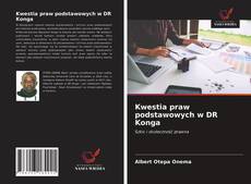 Bookcover of Kwestia praw podstawowych w DR Konga