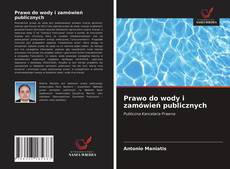 Prawo do wody i zamówień publicznych kitap kapağı