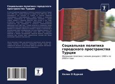 Bookcover of Социальная политика городского пространства Турции