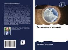 Capa do livro de Загрязнение воздуха 