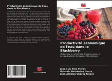 Buchcover von Productivité économique de l'eau dans le Blackberry