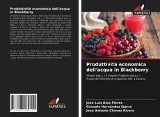 Capa do livro de Produttività economica dell'acqua in Blackberry 
