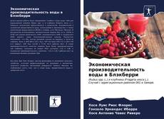 Buchcover von Экономическая производительность воды в Блэкберри