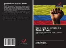 Borítókép a  Społeczne postrzeganie Barras Bravas - hoz