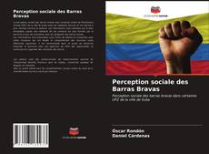 Buchcover von Perception sociale des Barras Bravas