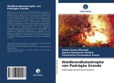 Обложка Waldbrandkatastrophe von Pedrógão Grande