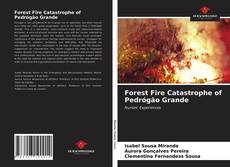 Forest Fire Catastrophe of Pedrógão Grande的封面