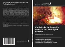 Capa do livro de Catástrofe de incendio forestal del Pedrógão Grande 