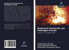 Capa do livro de Bosbrand Catastrofe van Pedrógão Grande 