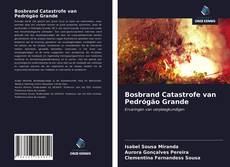 Copertina di Bosbrand Catastrofe van Pedrógão Grande