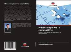 Couverture de Météorologie de la comptabilité