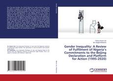 Copertina di Gender Inequality: A Review of Fulfilment of Nigeria’s Commitments to the Beijing Declaration and Platform for Action (1995-2020)
