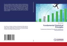 Buchcover von Fundamental Statistical Principles