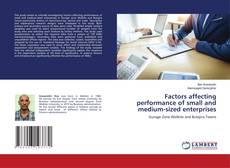 Buchcover von Factors affecting performance of small and medium-sized enterprises