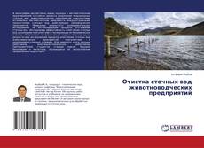 Очистка сточных вод животноводческих предприятий的封面