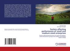 Copertina di Factors affecting performance of small and medium-sized enterprises