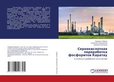 Buchcover von Сернокислотная переработка фосфоритов Каратау