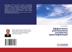 Copertina di Эффективно реализуемые алгоритмы идентификации