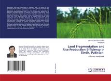 Borítókép a  Land Fragmentation and Rice Production Efficiency in Sindh, Pakistan - hoz