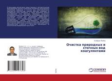 Copertina di Очистка природных и сточных вод коагулянтами