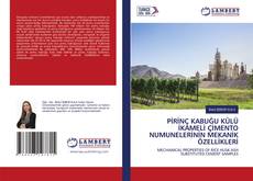 Copertina di PİRİNÇ KABUĞU KÜLÜ İKAMELİ ÇİMENTO NUMUNELERİNİN MEKANİK ÖZELLİKLERİ