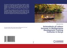 Copertina di Antecedents of Labour turnover in Multipurpose Development Training Institutes in Kenya