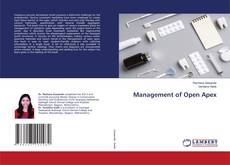 Buchcover von Management of Open Apex