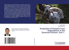 Copertina di Protection of Proteins from Degradation in the Ruminant Rumen. Part 1