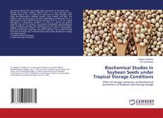 Copertina di Biochemical Studies In Soybean Seeds under Tropical Storage Conditions