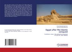 Buchcover von Egypt after The Islamic conquest