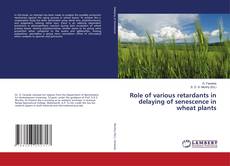 Buchcover von Role of various retardants in delaying of senescence in wheat plants