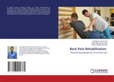 Bookcover of Back Pain Rehabilitation