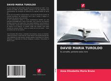 Couverture de DAVID MARIA TUROLDO