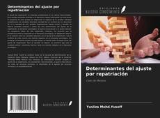 Обложка Determinantes del ajuste por repatriación
