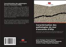 Buchcover von Caractérisation des pathologies du mur d'enceinte d'Itfip