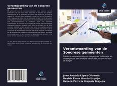 Verantwoording van de Sonorese gemeenten的封面