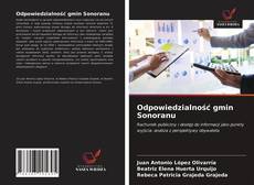 Bookcover of Odpowiedzialność gmin Sonoranu