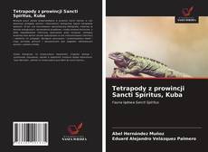 Bookcover of Tetrapody z prowincji Sancti Spíritus, Kuba