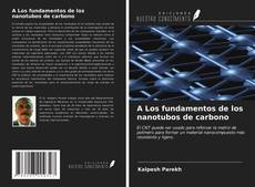 A Los fundamentos de los nanotubos de carbono kitap kapağı