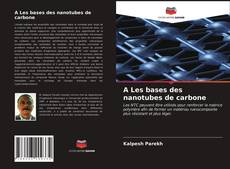 Buchcover von A Les bases des nanotubes de carbone
