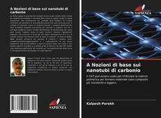 Обложка A Nozioni di base sui nanotubi di carbonio