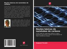 Portada del libro de Noções básicas de nanotubos de carbono