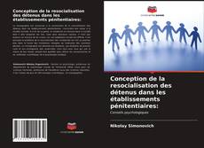 Copertina di Conception de la resocialisation des détenus dans les établissements pénitentiaires: